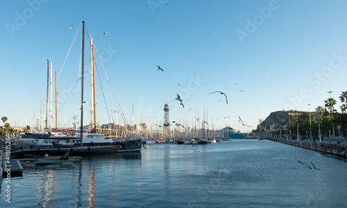 Port Vell is the oldest and largest port in the city of Barcelona, Spain. Pier with yachts against the backdrop of a beautiful sky. Many seagulls fly around. Clear sea bay