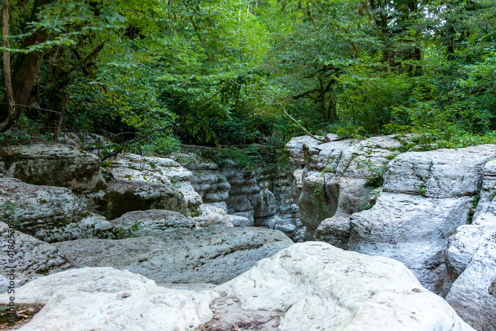 White cliffs and mountain crystal clear, shallow river in a wild place in the mountains in summer in a dense forest in summer White cliffs and mountain crystal clear, shallow river in a wild place in the mountains in summer in a dense forest in summer