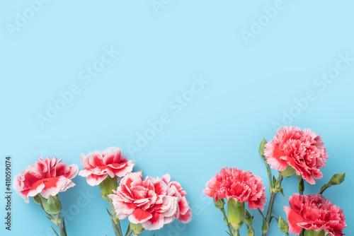 Concept of Mother's day holiday greeting gift with carnation bouquet on bright blue table background photo