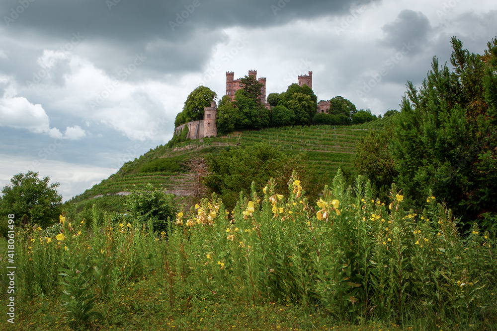 Ortenberger Schloss mit Blumen im Vordergrund
