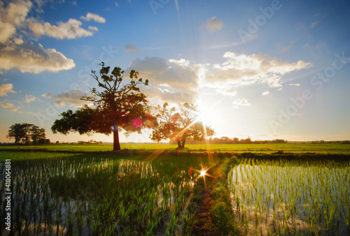 sunset over race field