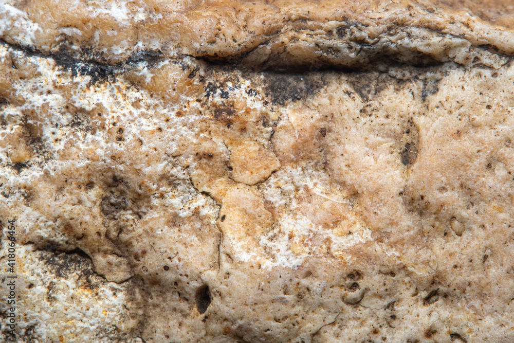 Background with the surface of a piece of light stone with small holes in soft focus under high magnification Background with the surface of a piece of light stone with small holes in soft focus under high magnification