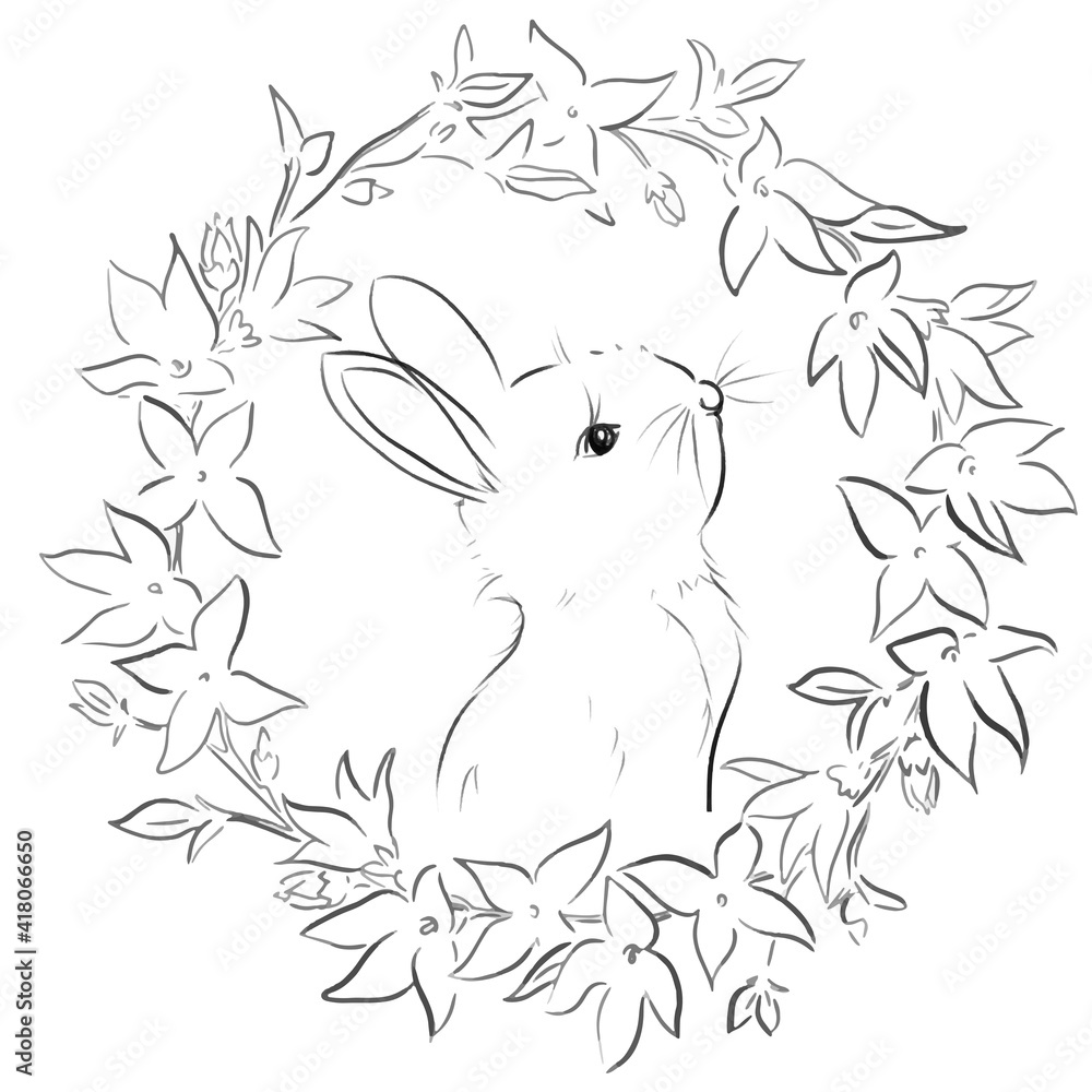Fototapeta premium Hand drawing of rabbit, vector illustration 
