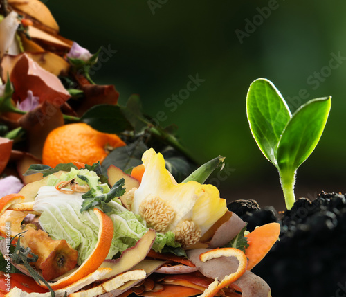 Young seedling and organic waste for composting on soil, closeup. Natural fertilizer photo