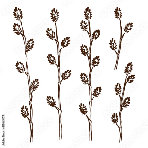 Spring set with hand-drawn sketches of young willow twigs on a white background. Engraving style. Vector illustration.