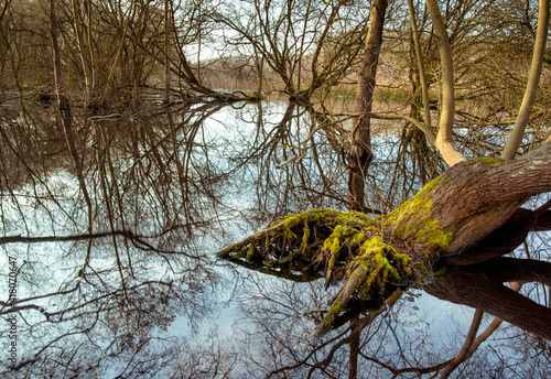 Croxley Common Moor by River Gade and trees flooded by the river, Hertfordshire, UK photo