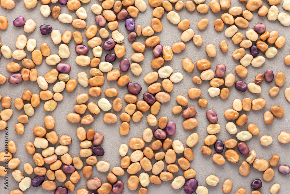 Legumes are scattered in the background, natural background of brown and purple beans, top view Legumes are scattered in the background, natural background of brown and purple beans, top view
