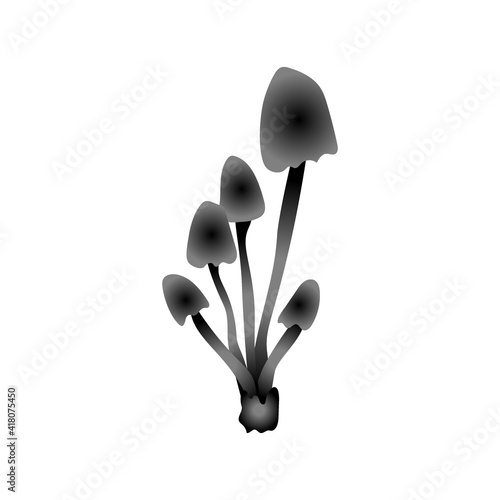 Magic monochrome mushrooms. Psychedelic hallucination. Poisonous inedible mushrooms. Vibrant vector clipart. Fairy Tales illustration on white  background.