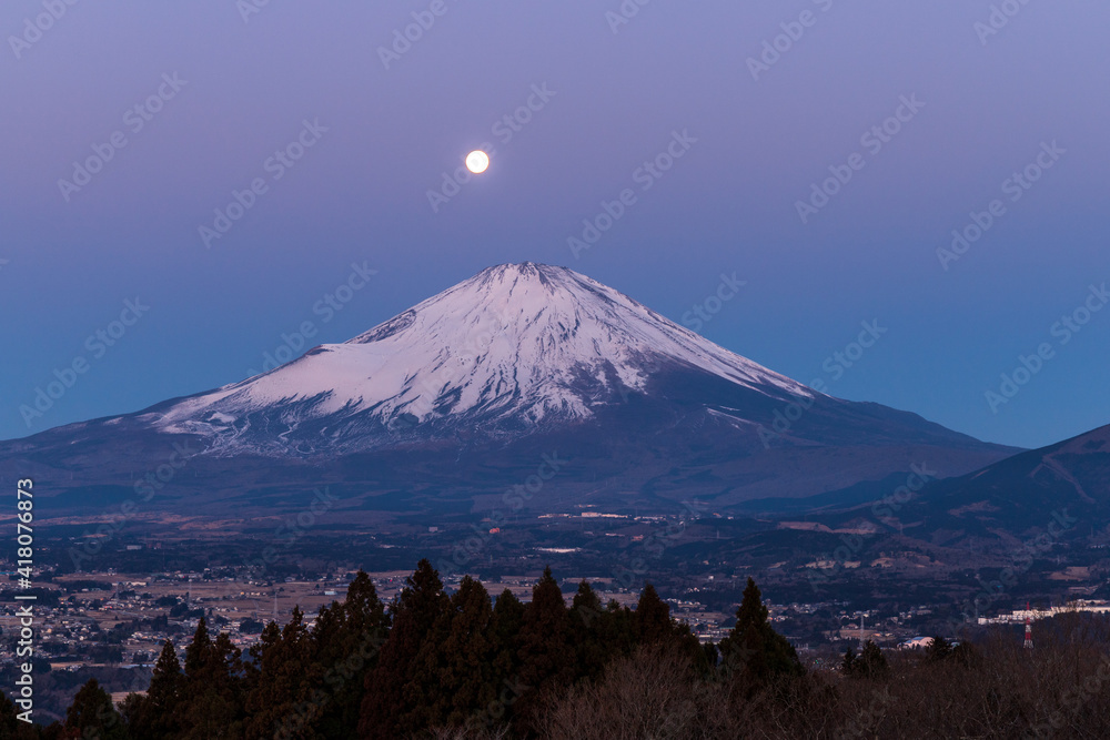 Fototapeta premium 足柄山スノームーンパール富士