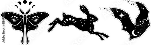 Modern witchcraft and mystic animals. hare, moon moth, bat, Collection of mystical and magical, astrology illustrations and elements. Stars, constellations, moon phases,Night animals