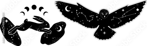 Modern witchcraft and mystic animals. hare, owl, Collection of mystical and magical, astrology illustrations and elements. Stars, constellations, moon phases,Night animals