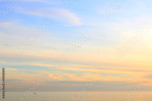 Flocks of geese over the Black Sea on the Caucasus coast in February. © Николай Немчанинов