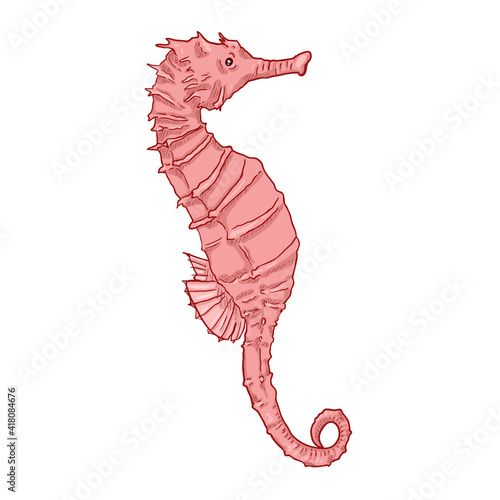 Cartoon Seahorse Vector Illustration