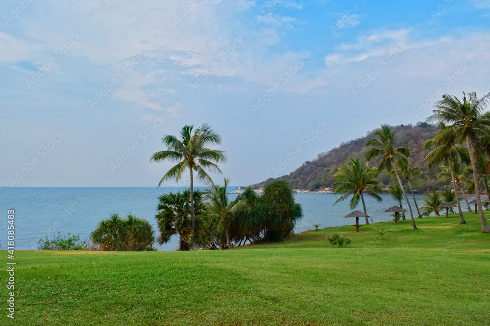 Green lawn and Coconut trees at the seashore