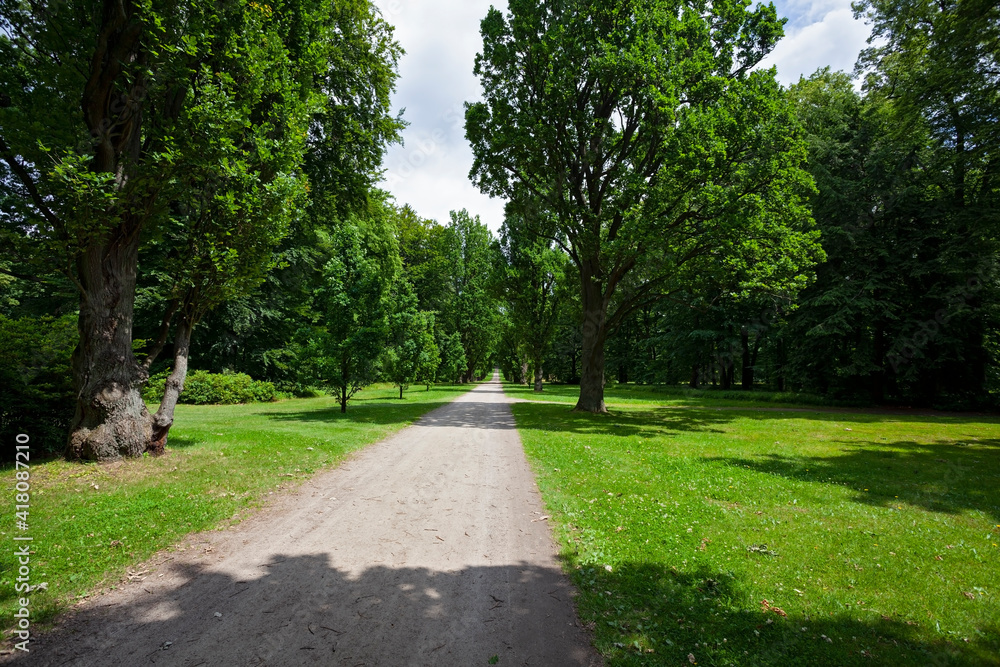 alley through the park of the castle Sychrov, Czech Republic alley through the park of the castle Sychrov, Czech Republic