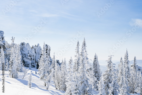 snow-covered trees in winter landscape