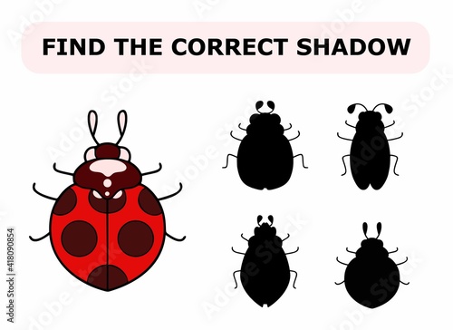 Vector illustration of shadow matching game for children. Vector isolated cartoon ladybug on the white background. Learning activity.