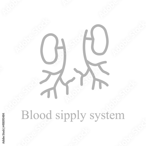 circulatory system icon on a white background, vector illustration