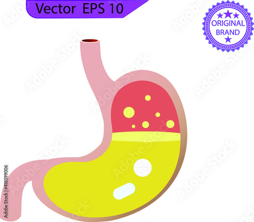 High acidity of the human stomach on transparent background. Stomach and pill. Taking medicine. Dissolving drug. Disease of human internal organ. Medical care. Pain in belly. Capsule and digestion.