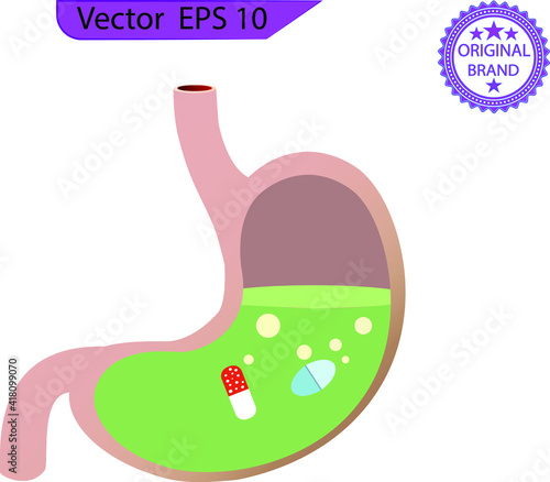 High acidity of the human stomach on transparent background. Stomach and pill. Taking medicine. Dissolving drug. Disease of human internal organ. Medical care. Pain in belly. Capsule and digestion.