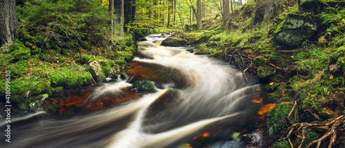 Fototapeta Naklejka Na Ścianę i Meble -  Rapid mountain river in the forest.