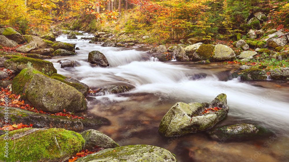 Rapid mountain river in the forest.