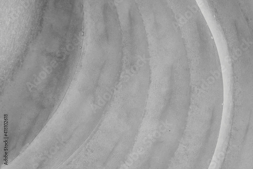 Background of black and white onion texture - high resolution