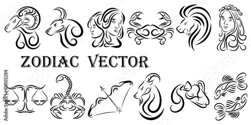 Vector graphic illustration of zodiac signs. All zodiac signs in line art concept: Aries; Taurus; Gemini; Cancer; Leo; Virgo; Libra; Scorpio; Sagittarius; Capricorn; Aquarius and Pisces.