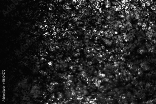 Background of black and white sponge texture - high resolution