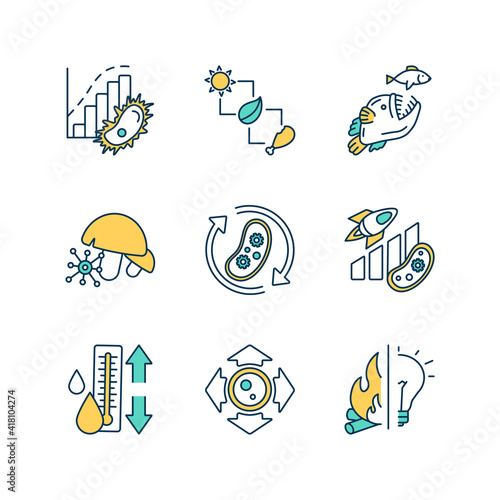 Biological processes RGB color icons set. Food chain. Living organism growth. Human and microbial evolution. Aquatic food web. Trophic pyramid. Yeasts, mildews and molds. Isolated vector illustrations