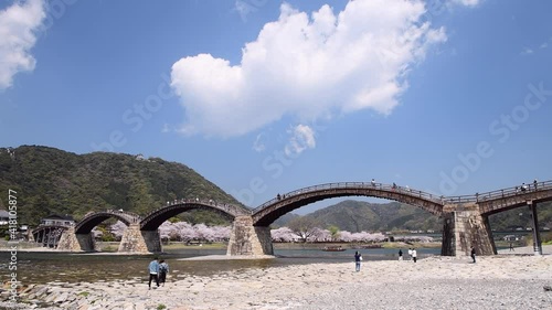 錦帯橋と桜並木