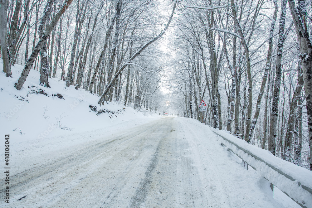 Road in Sabaduri forest with covered snow. Winter time Road in Sabaduri forest with covered snow. Winter time