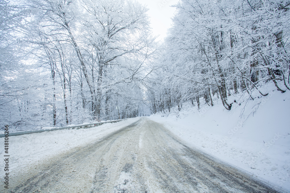 Road in Sabaduri forest with covered snow. Winter time Road in Sabaduri forest with covered snow. Winter time