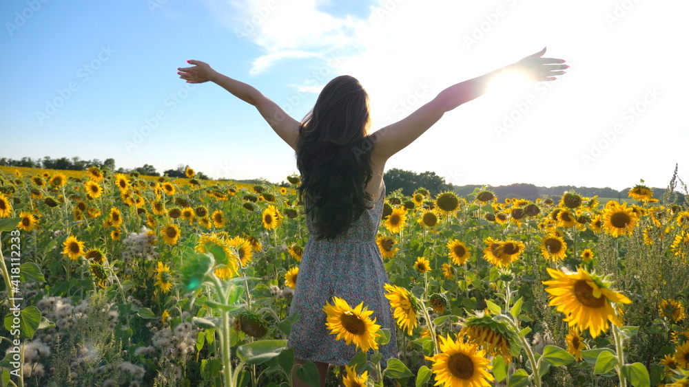 Young girl standing among big field with blooming sunflowers and raising hands. Woman having relax or enjoying freedom at summer sunny day. Scenic countryside landscape at background. Dolly shot Young girl standing among big field with blooming sunflowers and raising hands. Woman having relax or enjoying freedom at summer sunny day. Scenic countryside landscape at background. Dolly shot