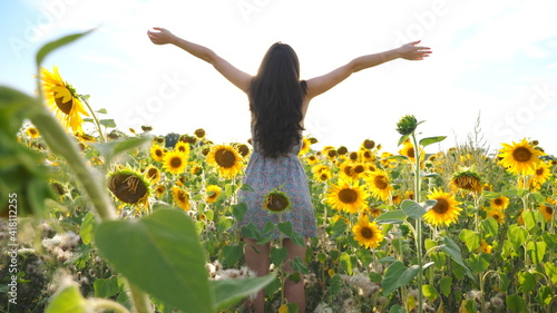 Back view of slim pretty girl standing among field with blooming sunflowers and raising hands. Woman having relax or enjoying freedom at sunny day. Scenic rural landscape with sunlight on background