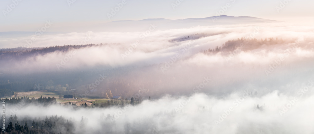 Fototapeta premium The fog in the mountain valley moves through the trees.