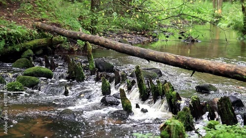 waterfall in the forest river 