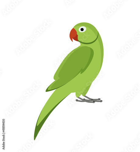 Green indian parrot