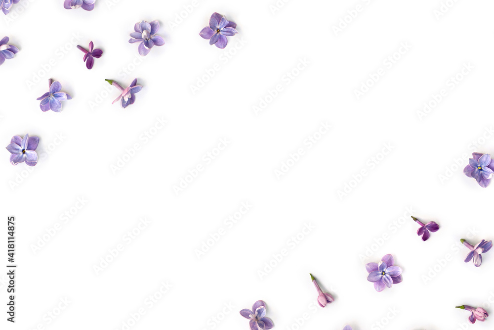 Frame of violet blue flowers lilac ( Syringa vulgaris ) on a white background wiht space for text. Spring flowers. Top view, flat lay