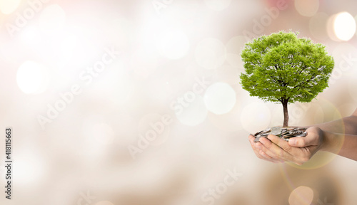 Tree growth on two hand holding heap of coins on blurred and bokeh background   Money saving for investment concept.