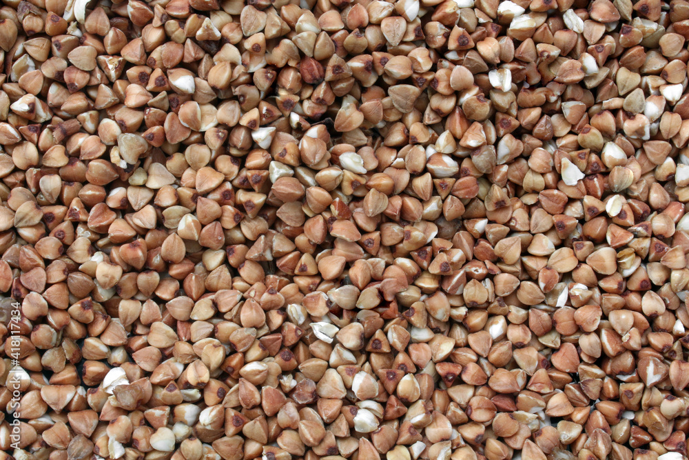 buckwheat groats background buckwheat groats background
