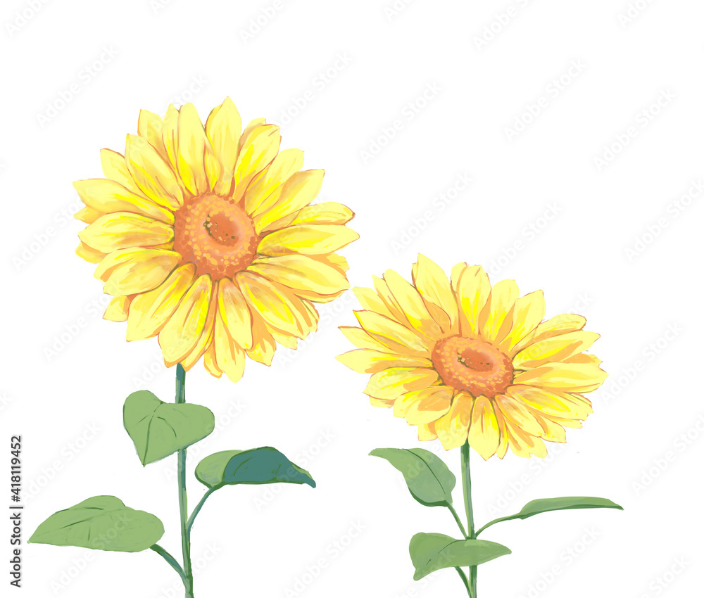 Obraz premium ひまわりの花