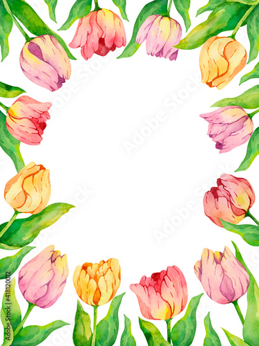 Wallpaper Mural Watercolor frame with colorful tulips. Spring floral postcard with empty space for your text. Tulips border with green leaves perfect for greeting cards, birthday, invitations.  Torontodigital.ca