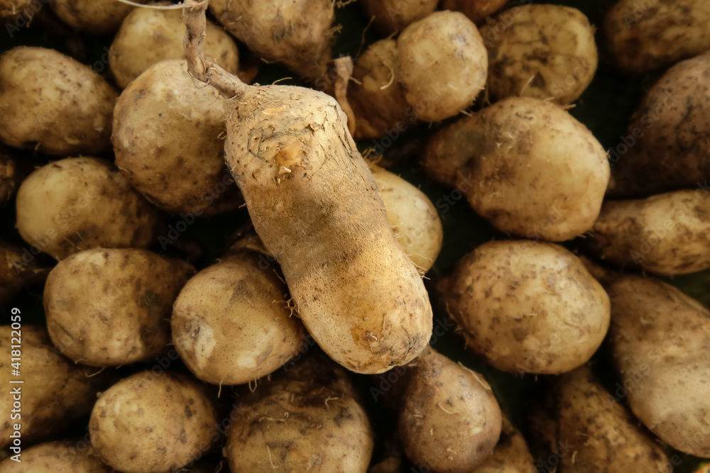 Organic potato background, Fresh potato for sale. Organic potato background, Fresh potato for sale.