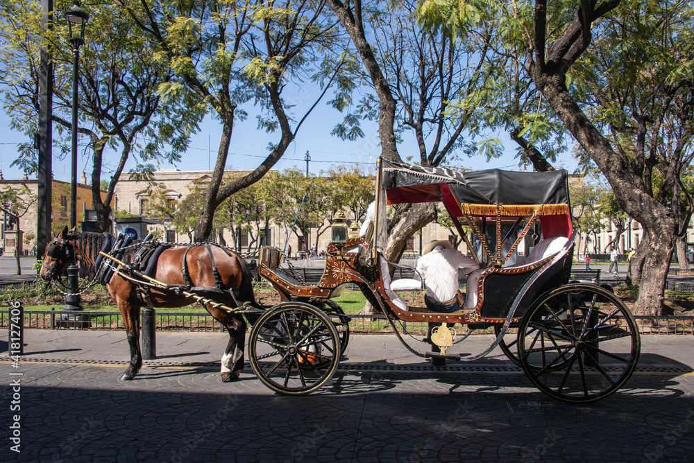Horse carriage in the historic center, Guadalajara, Jalisco, Mexico
