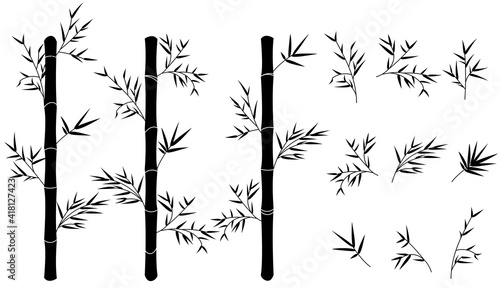 Bamboo stem and leaves isolated vector illustration. Exotic floral set design elements. Asian garden objects in flat style.