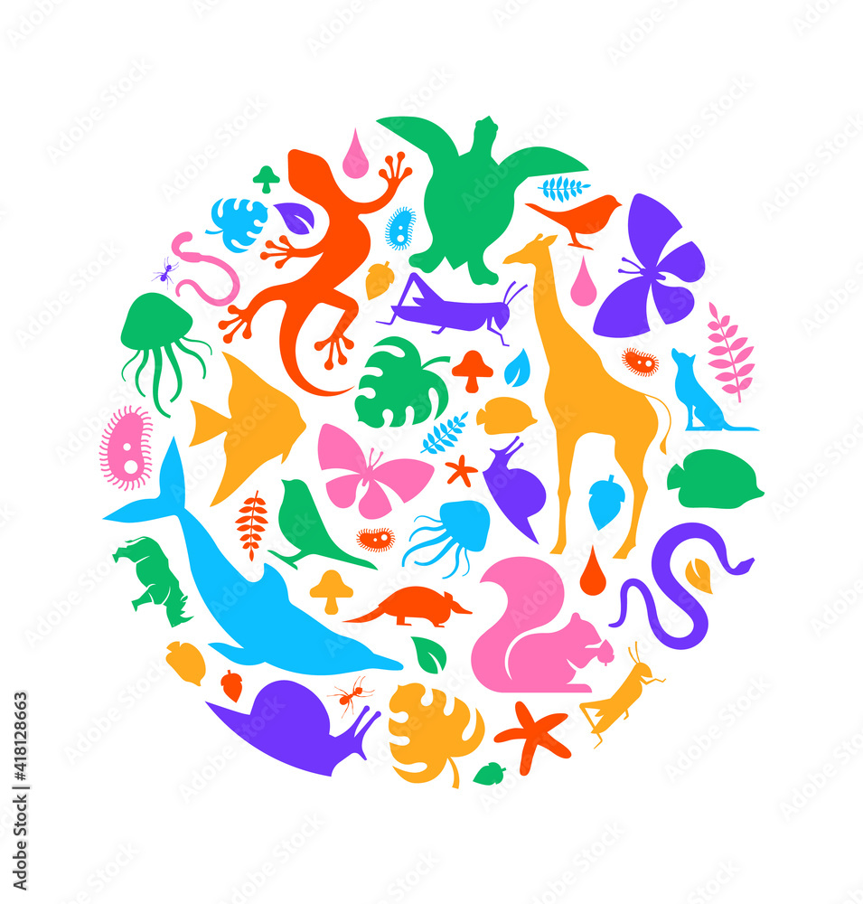 Colorful wild animal icon circle shape isolated