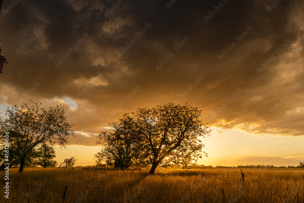 Sunset in the countryside in the province of Buenos Aires, Argentina.