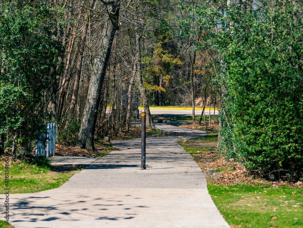 Obraz premium walking path in the park 