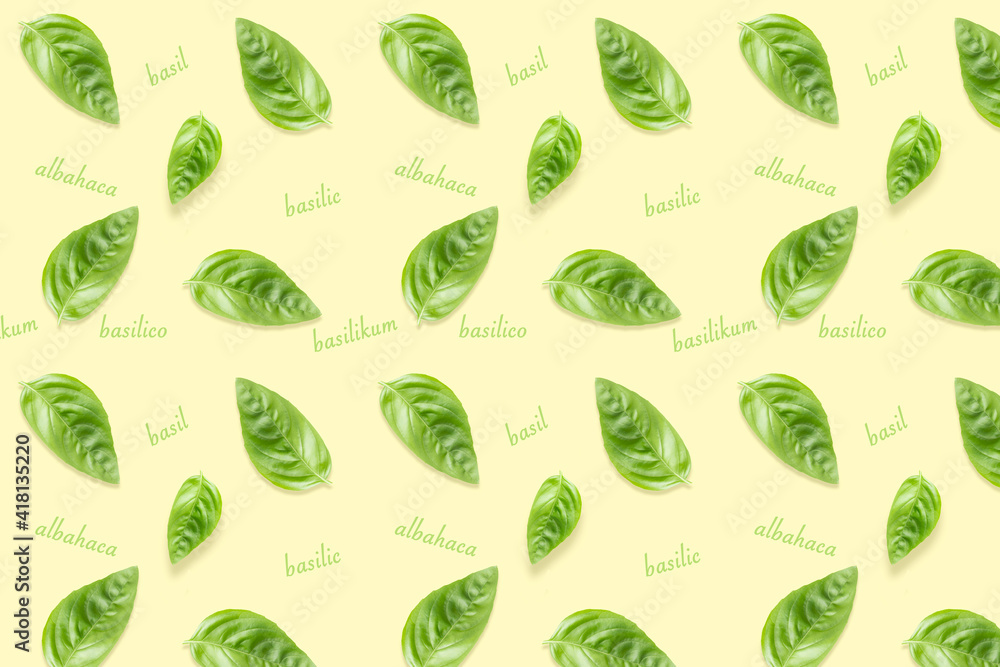 Design pattern made with fresh and green basil leaves and text on a pastel green background
Design pattern made with fresh and green basil leaves and text on a pastel green background